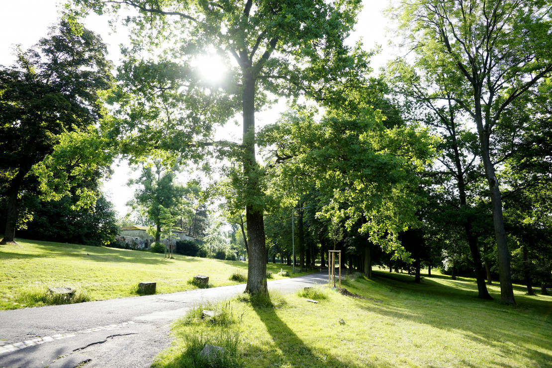 17766_Park_Rothenditmold_Kassel Marketing GmbH  ©Fotograf Mario Zgoll.jpg